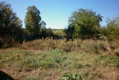 Teren in Ungureni - 3