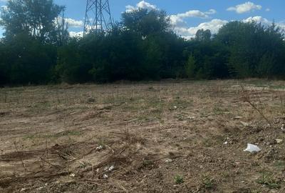 Popesti Leordeni, direct de la proprietar Popesti Leordeni, direct de la proprietar - 1