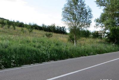 Teren de 3600 mp, în Gârcina