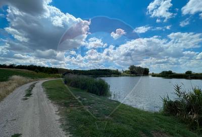 Teren investitie 4.350 mp | Balta Pasarea, langa Bucure?ti Teren investitie 4.350 mp | Balta Pasarea, langa Bucure?ti - 1