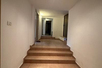 Casă individuală cu 10 camere cu Piscina în Dumbrăvița - 34