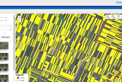 12 Ha Teren Agricol Vlad Tepes CL - 6