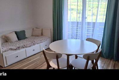 Apartament cu 2 camere în Chinteni - 2