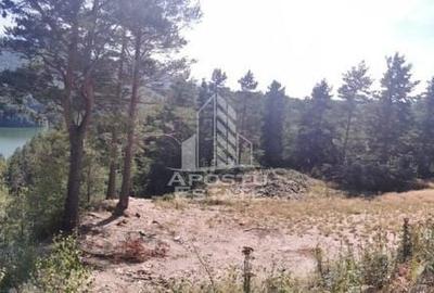 Teren de 2000 mp, în Central