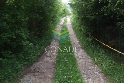 Teren Construcții intravilan de 800 mp, în Exterior Vest - 5