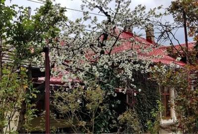 Casă cu 6 camere cu Teren 450 Mp în Aluniș - 5