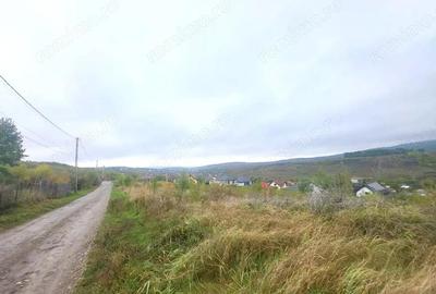 Teren de 774 mp, în Bârnova - 5