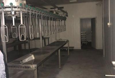 Abator pasari - Nadlac, Arad - 2