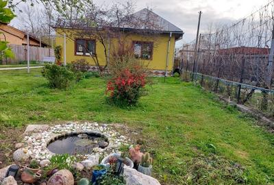 Casa pe parter cu teren generos - Topoloveni, Arges