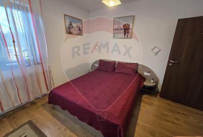 VILA ORHIDEEA - PENSIUNE  DE VANZARE IN STATIUNEA  PALTINIS JUD. SIBIU - 11