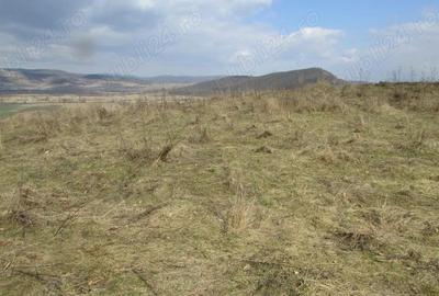 Teren în Central - 4