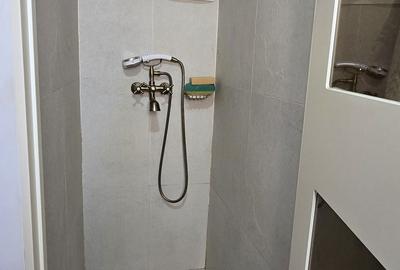 Apartament cu 3 camere semidecomandat în Dosu Bricii - 6
