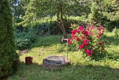 Valea Moldovei, casa P+1+pod, anexa, gradina 500 mp - 5