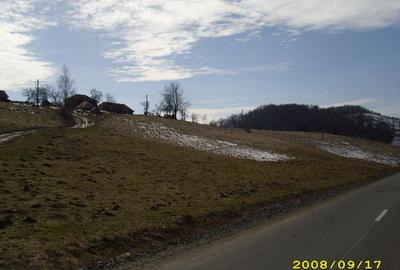 Teren intravilan Rosia, 12 000 mp, cu proiect aprobat. Comision 0. - 10