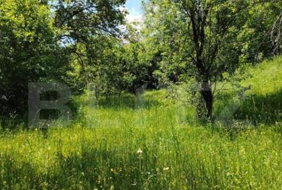 Teren intravilan Pietrosita Teren intravilan Pietrosita - 3