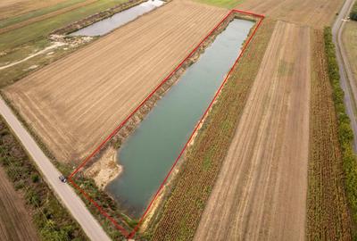 Teren intravilan de 15800 mp, în Santăul Mare - 3