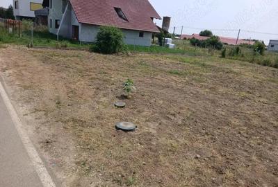 Teren de 600 mp, în Dudeștii Noi