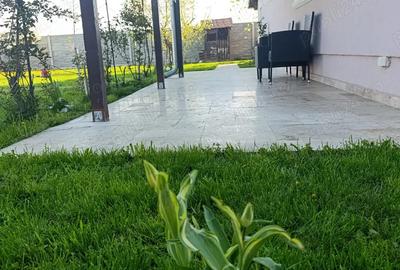 Casa individuala P+M Sanmihaiu Roman Casa individuala P+M Sanmihaiu Roman - 12