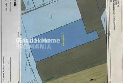 Teren 25000 MP | TG. MURES-SANPAUL | INTRAVILAN | 98 m acces DN 15 | A3 la 5 km - 7