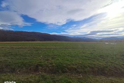 Spațiu comercial, în Central - 1