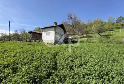 Teren în Bârseștii de Sus - 1