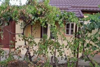 Casă cu 2 camere în Bălteni - 4