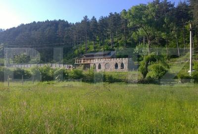 Casa individuala la rosu, 247 mp, teren 5000 mp in Surduc