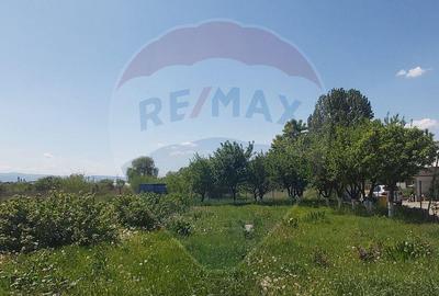 Vila individuala de inchiriat in Sibiu, cu teren de 1.000 mp - 2