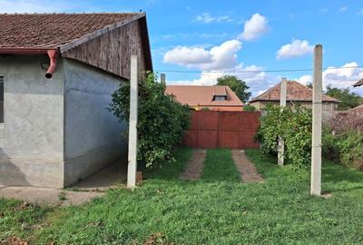 Casă cu 2 camere în Iratoșu - 4
