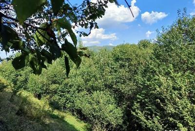 Teren de 3000 mp, în Măguri - 2