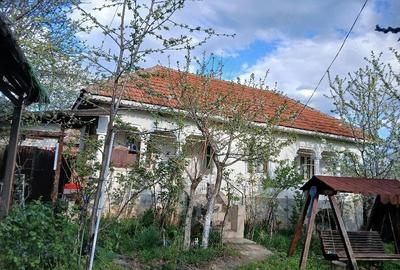 Casă cu 3 camere cu Teren 500 Mp în Dobrița - 5