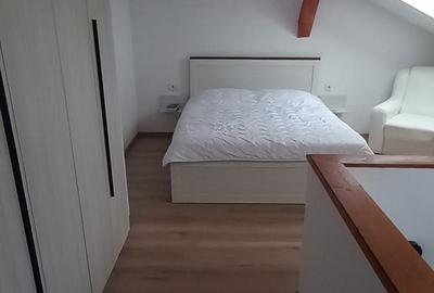 Apartament cu 2 camere semidecomandat în Sânpetru - 7