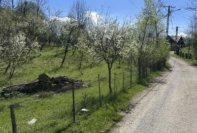 Spațiu comercial, de 2,035 mp, în Provița de Jos - 16