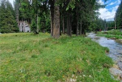 Teren intravilan de vanzare Padina/ Muntii Bucegi - 2