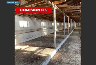 Teren Construcții intravilan de 38245 mp, în Central - 1