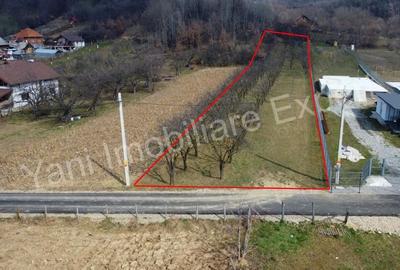Teren de 2172 mp, în Albești - 5