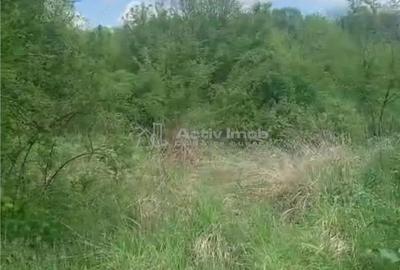 Teren de 500 mp, în Găneasa - 4