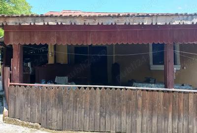 Casă cu Teren 3200 Mp în Grecești - 1