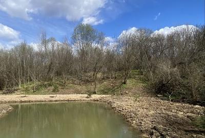 Spațiu comercial, în Vlădeni - 3