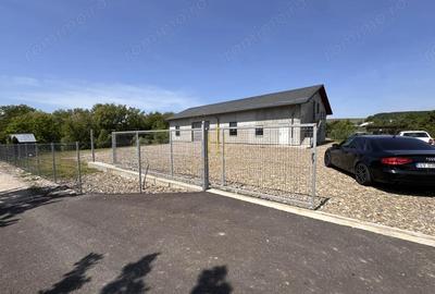 Spațiu comercial, de 300 mp, în Pătrăuți - 16