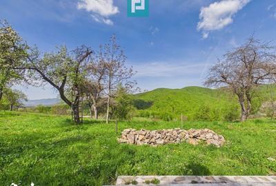 Casă cu 3 camere cu Teren 2000 Mp în Central - 5