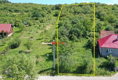 TEREN PENTRU CONSTRUCTIE REZIDENTIALA | 2878 MP | PODGORIA - 8