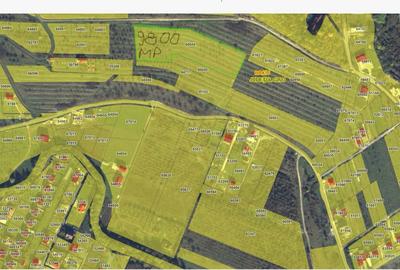 Teren de 9800 mp, în Baciu