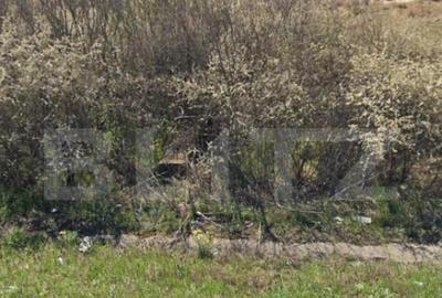 Teren 5117 mp intravilan, zona de Almaj - 2