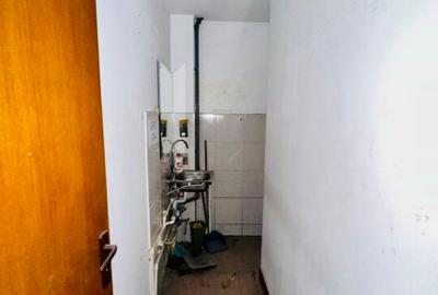 Armeneasca - Bd. Carol I stradal spatiu comercial 54 mp utili - 9