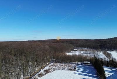 Teren Intravilan langa Padure 10.000 mp 1 hectar Suceava - 10