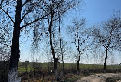 Casă cu 3 camere în Mădăras - 1