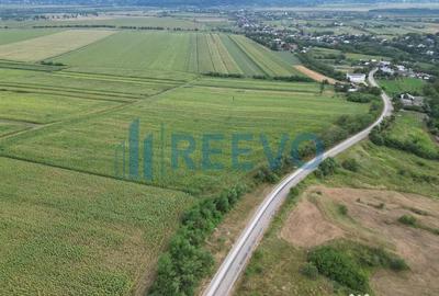 Teren de 3600 mp, în Racova - 10