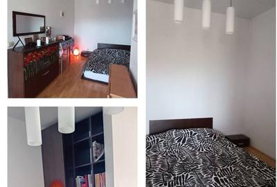 Studio/garsoniera inchiriata, cartier Brancusi ANL - 7