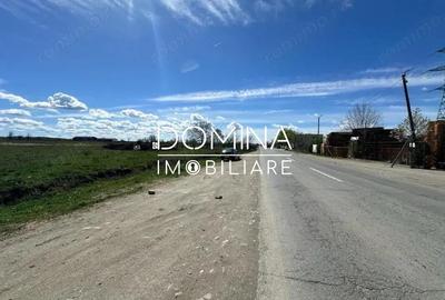 Spațiu comercial, în Narciselor